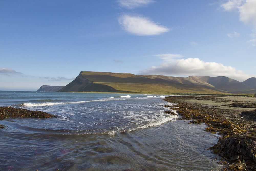 Russland Wrangel Island • Sibirische Inseln • FranzJosefLand
